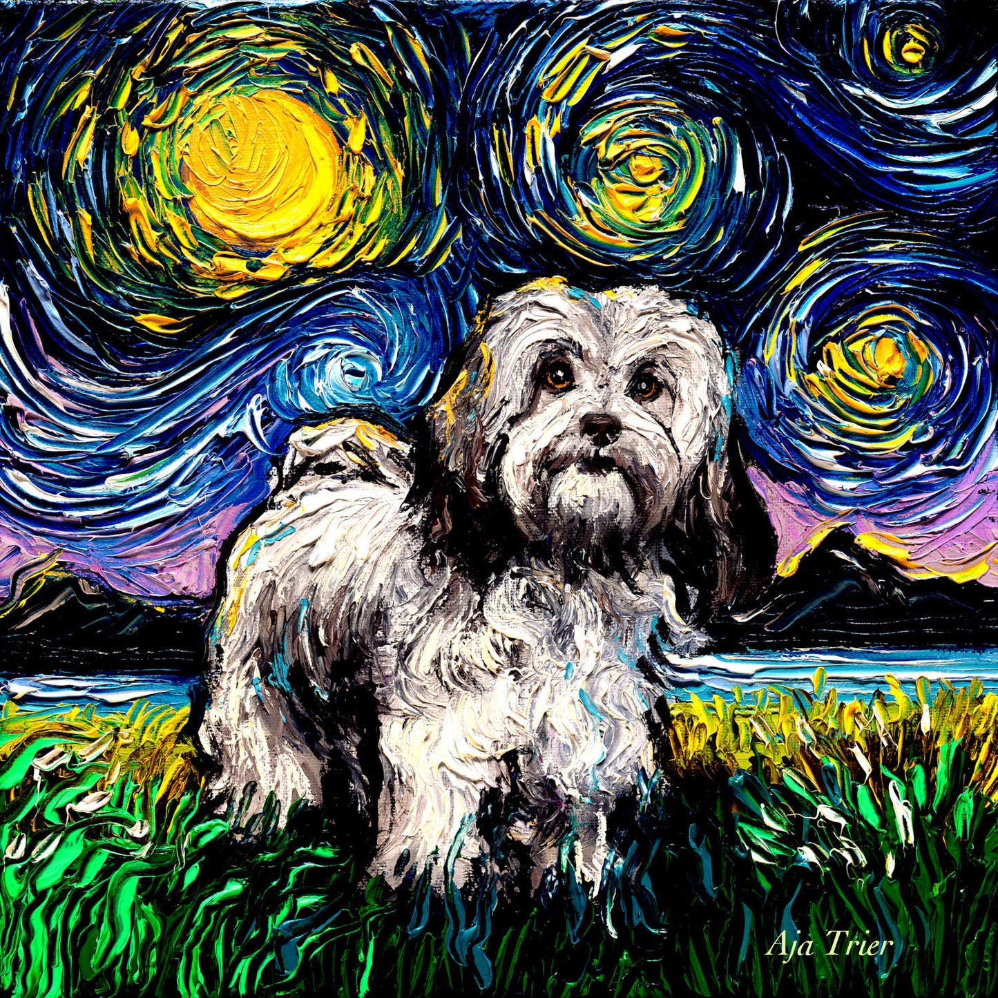 Lhasa Apso Night, 12x12 inches oil on canvas