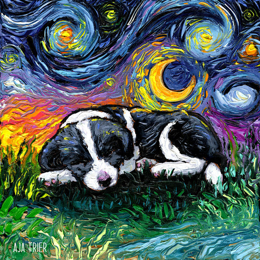 Sleepy Border Collie Night, 12x12 inches oil on canvas