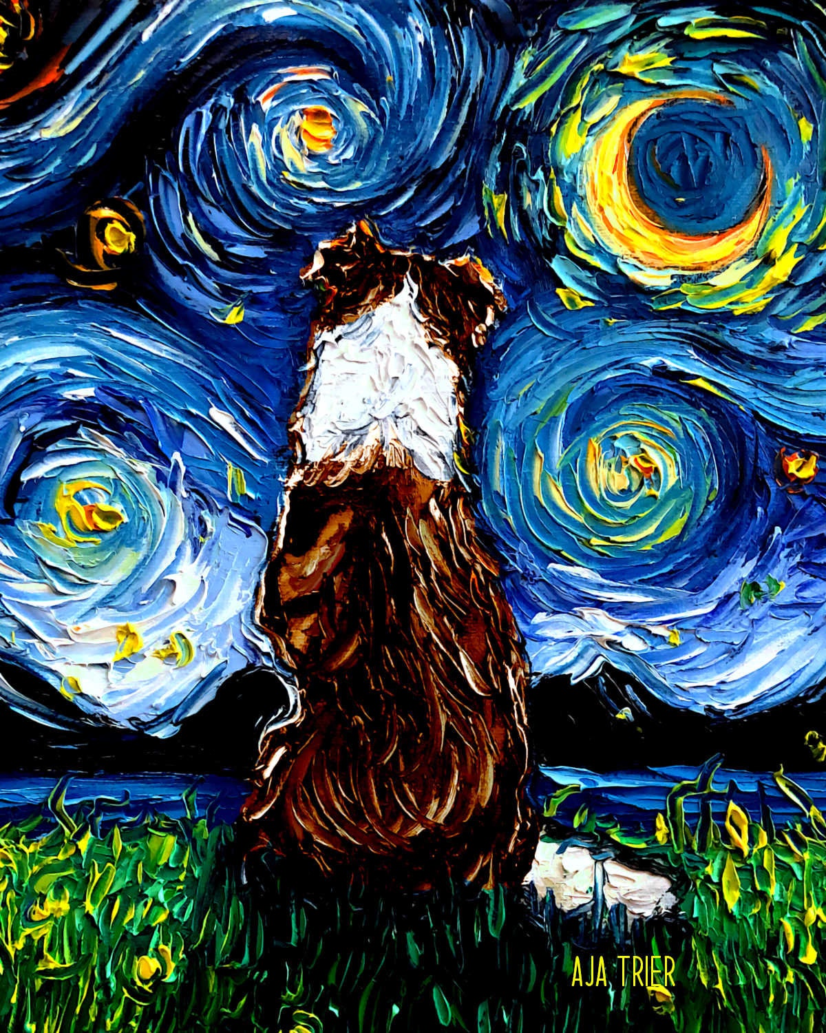 Red and white Border Collie Back Art CANVAS print Starry Night Ready to Hang wall decor artwork display by Aja animal home
