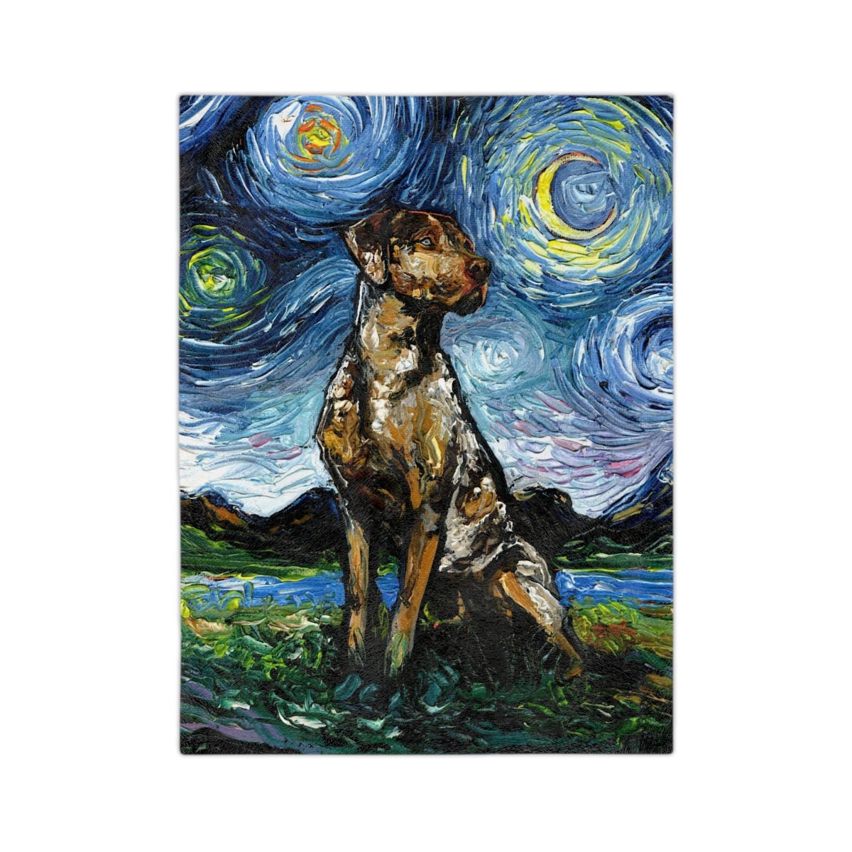 Velveteen Minky Blanket Catahoula Leopard Dog Starry Night Throw